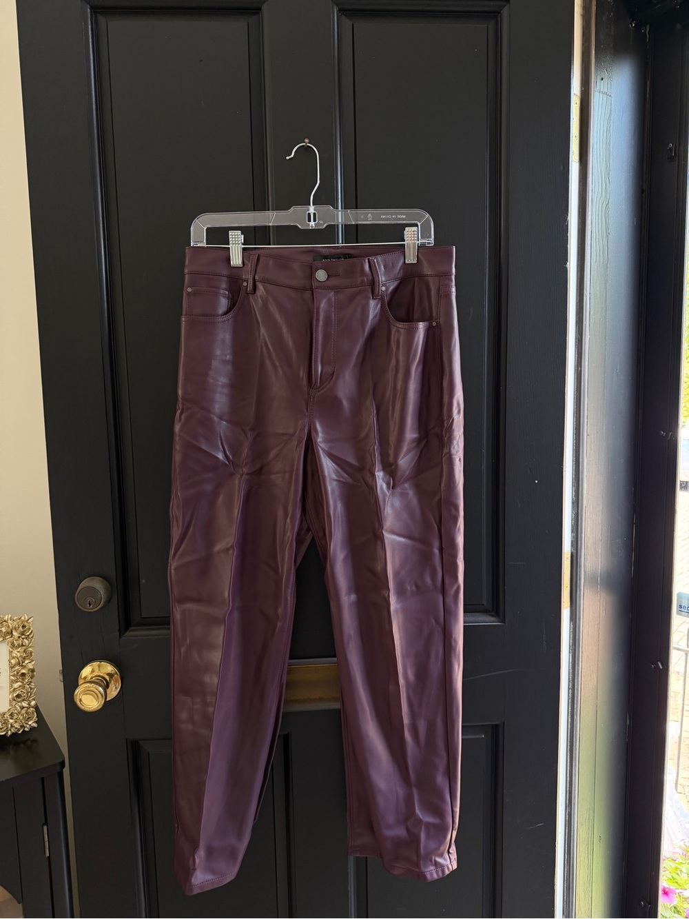 Ann Taylor Women's Faux Leather Skinny Pants in Burgundy